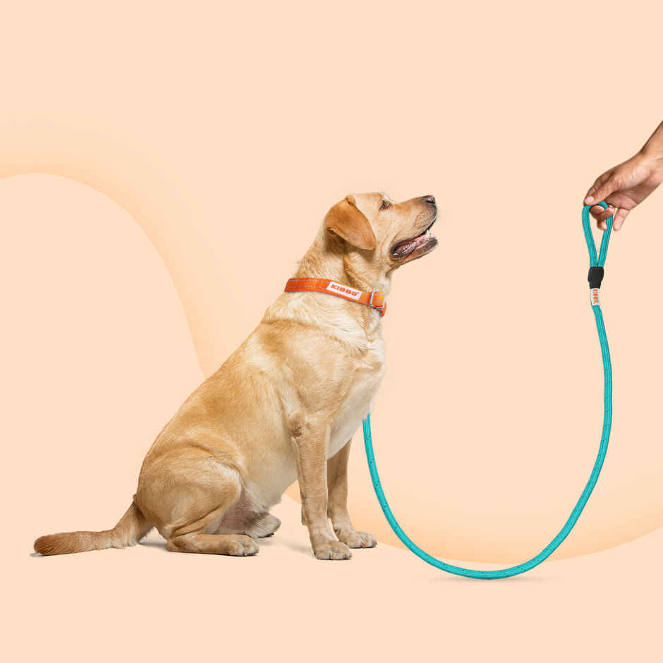 KIBBO Premium Ultra Strong Reflective Dog Rope Leash | Sea Green