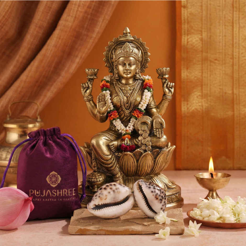 Lakshmi Kauri (Cowrie Shell) | Symbol of Maa Lakshmi | Pujashree