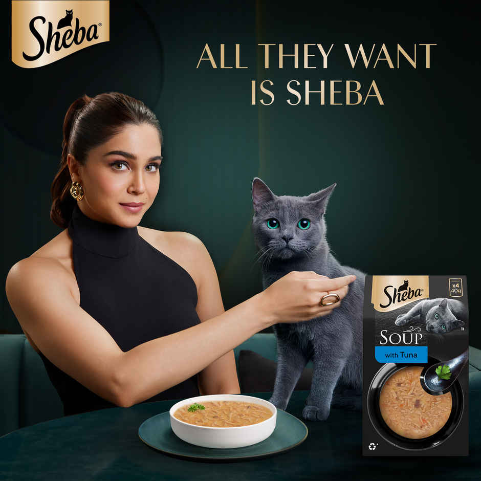 Sheba Soup With Tuna Premium Adult Wet Cat Food | Pouches Irresistible Flavor
