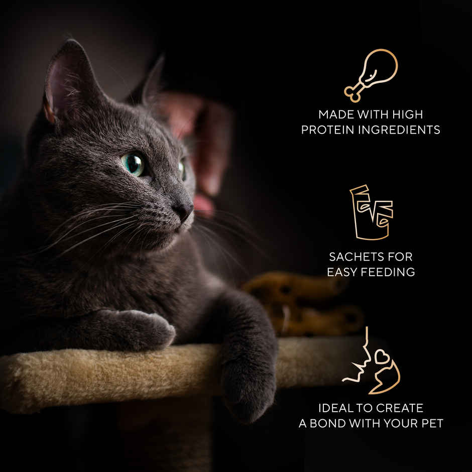 Sheba Duo Adult Cat Treats | Crispy Outside Soft Inside