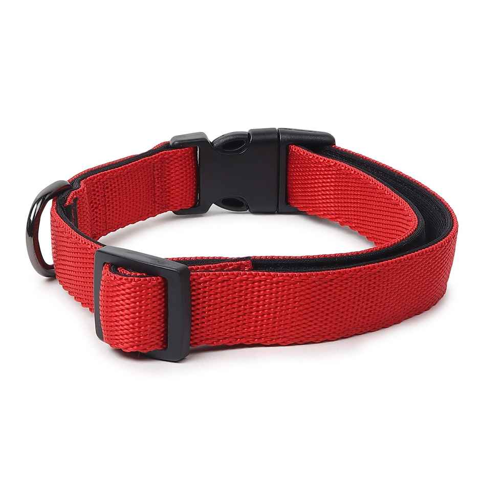 Zigly Padded Dog Collar | Suitable for Puppies & Small Breeds | Red - S