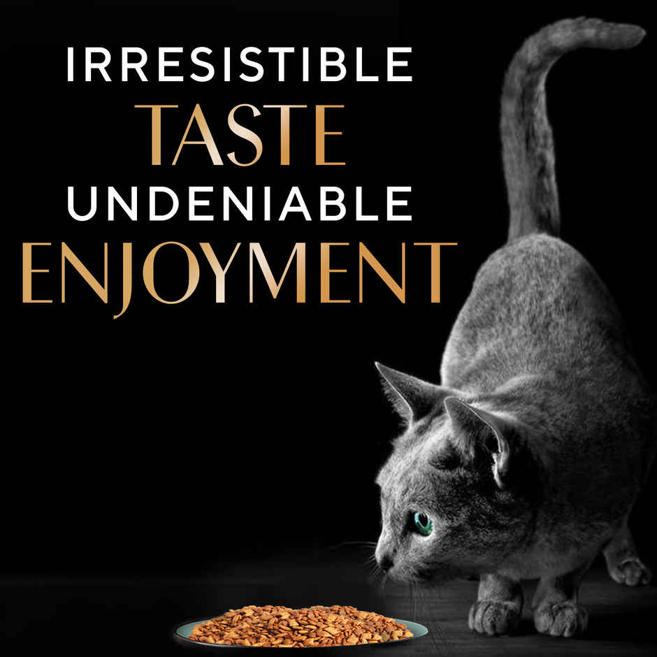 Sheba Kitten and Adult Salmon Flavour Dry Cat Food