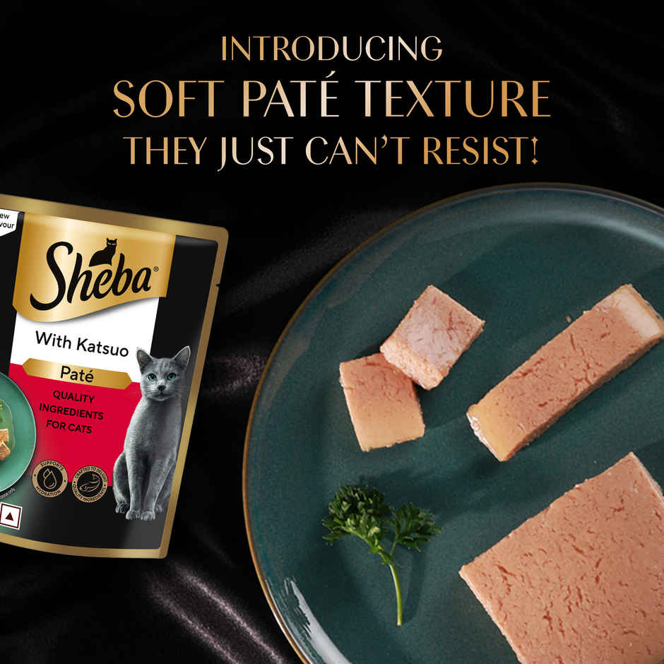 Sheba Pate Adult Wet Cat Food | Katsuo