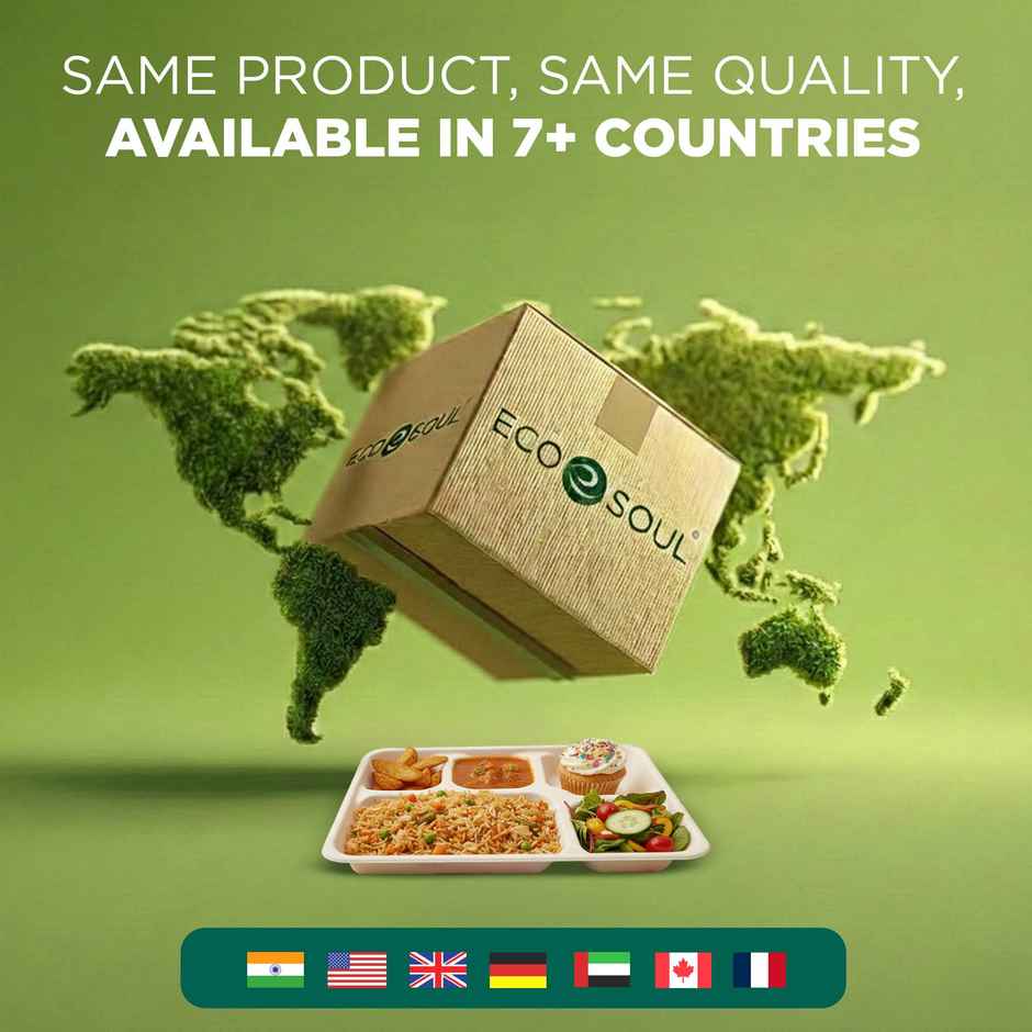 ECO SOUL | Bagasse Disposable Meal Tray/Plates | Square | 5CP | 10 Count