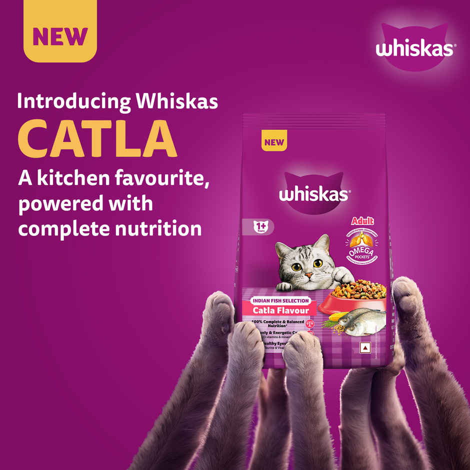 Whiskas Adult Dry Cat Food 1 Plus Years Catla Fish Flavour