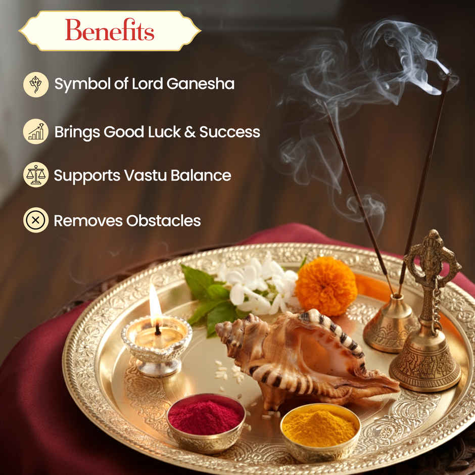 Ganesh Shankh | Blessings of Deity Ganpati | Naturally Formed | Pujashree