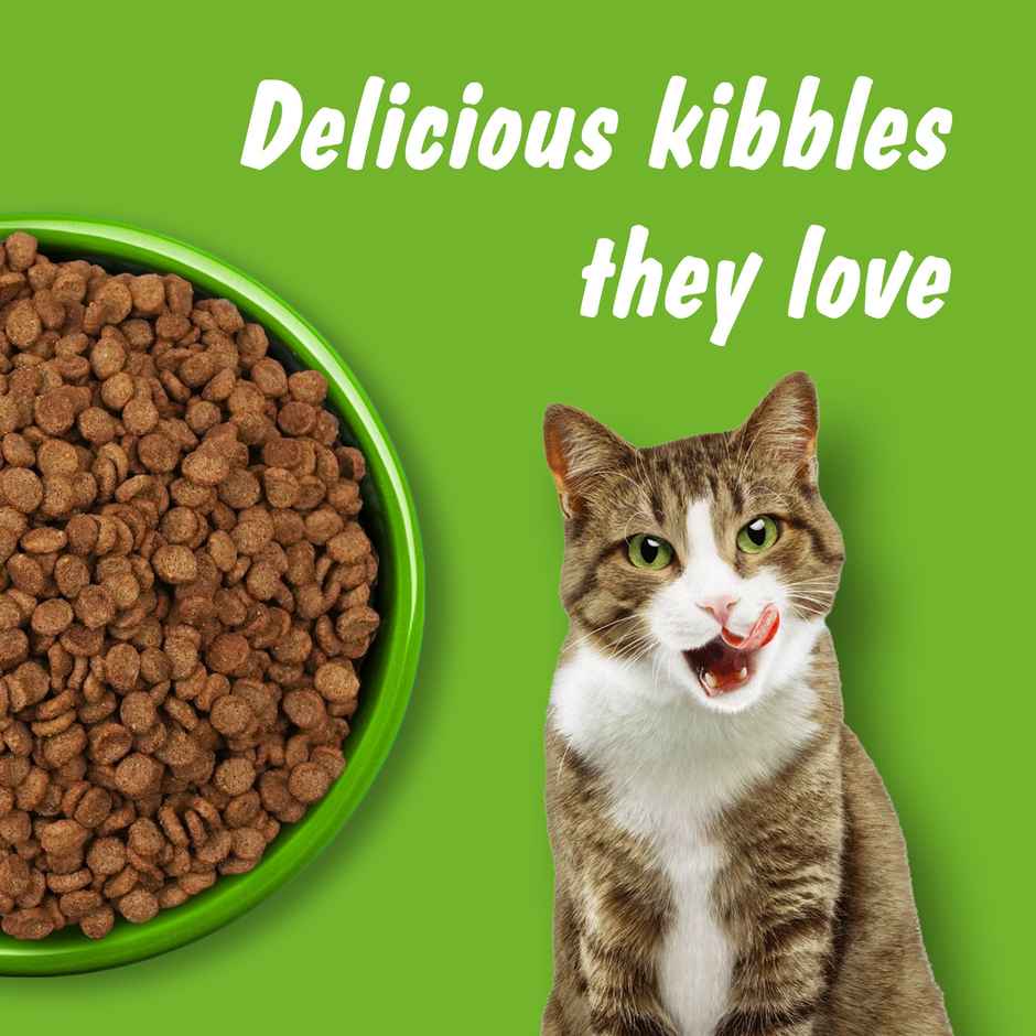 Kitekat Kitten Dry Cat Food | Ocean Fish Flavour | 2-12 Months