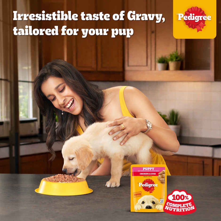 Pedigree Puppy Chicken & Liver Chunks In Gravy Wet Dog Food