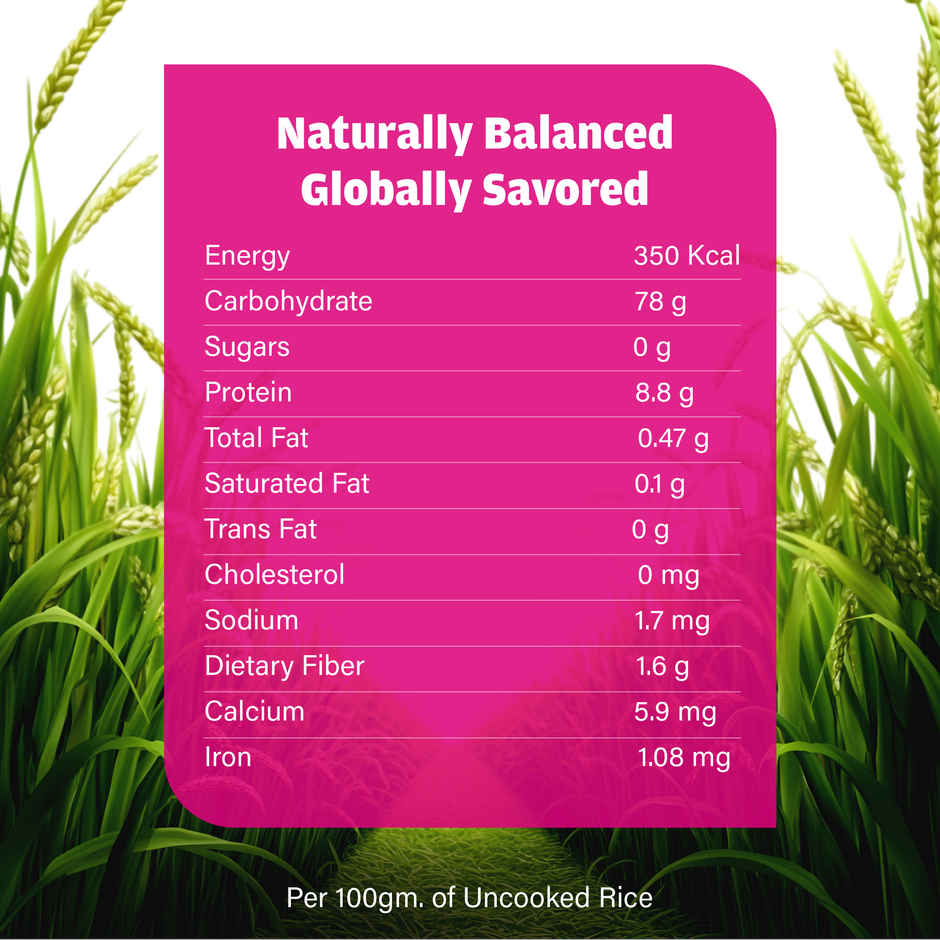 921 Mini Mogra Basmati Rice