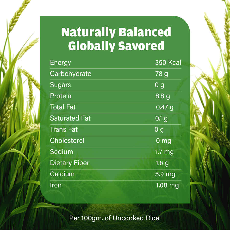 921 Extra Long Grain Biryani Basmati Rice