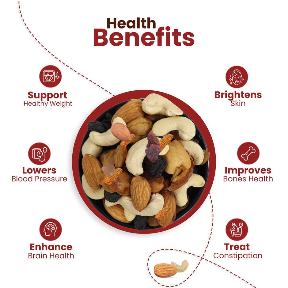 Nutraj Mix dry fruits Panchmeva superfood mix