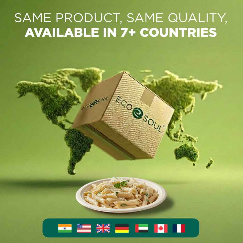 ECO SOUL | Bagasse Disposable Plates | 9 Inch | Round | 10 Count