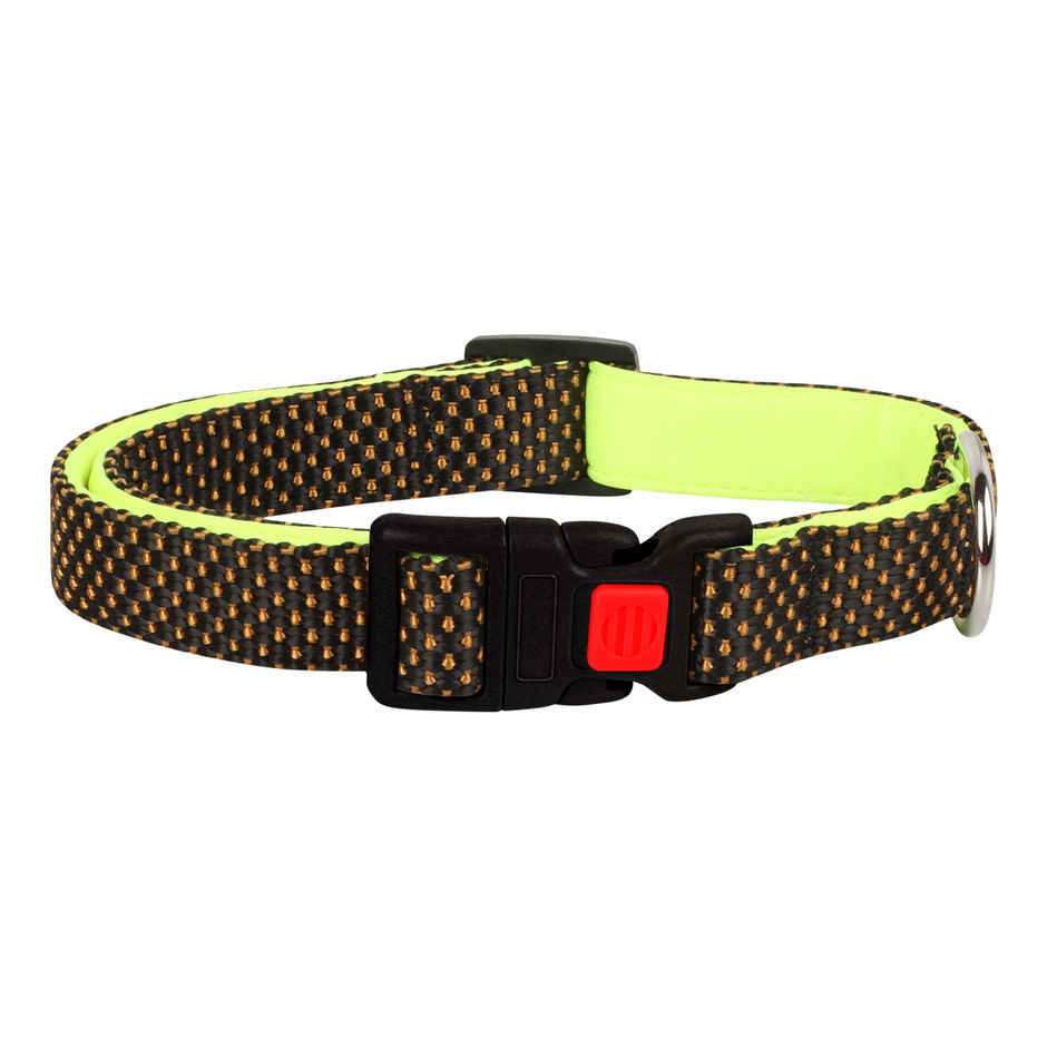 BearHugs Essential Collar | Padded with Lock - Medium