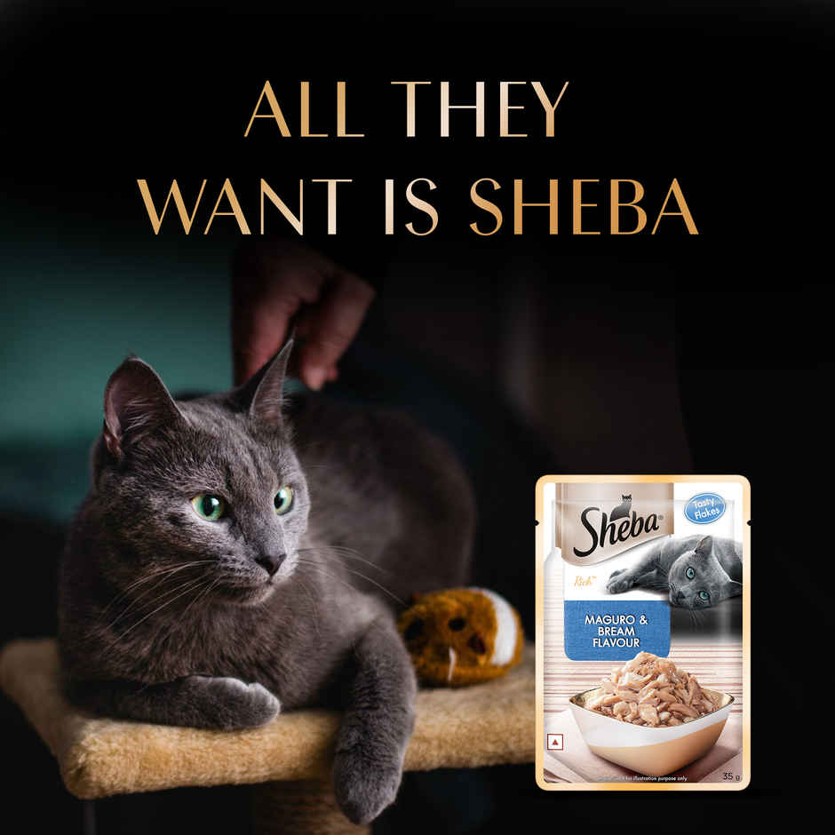 Sheba Rich Adult Maguro & Bream Flavour Wet Cat Food