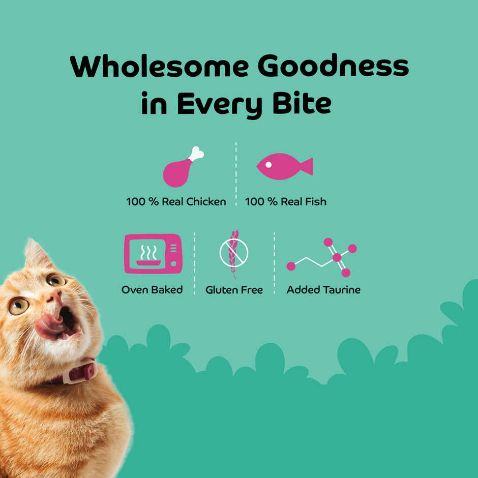 Applod Fish & Blueberry Crunchy Cat Treat | For Kitten & Adult Cats