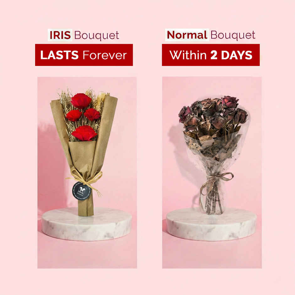 Everlasting Red Rose Love Dry Flower Bouquet with Fragrance Spray | Ideal for Gifting | IRIS