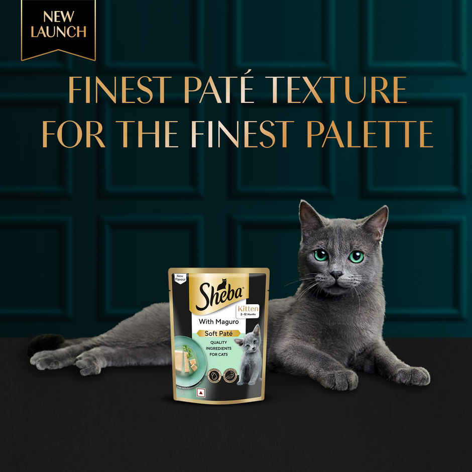 Sheba Pate Kitten Wet Cat Food | Maguro