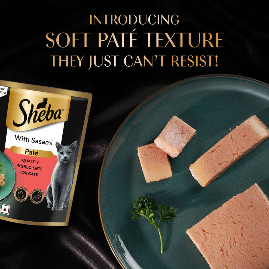 Sheba Pate Adult Wet Cat Food | Sasami