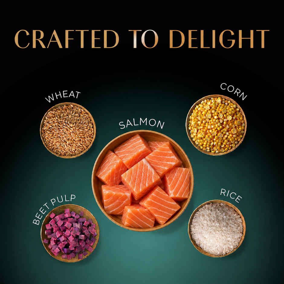 Sheba Kitten and Adult Salmon Flavour Dry Cat Food