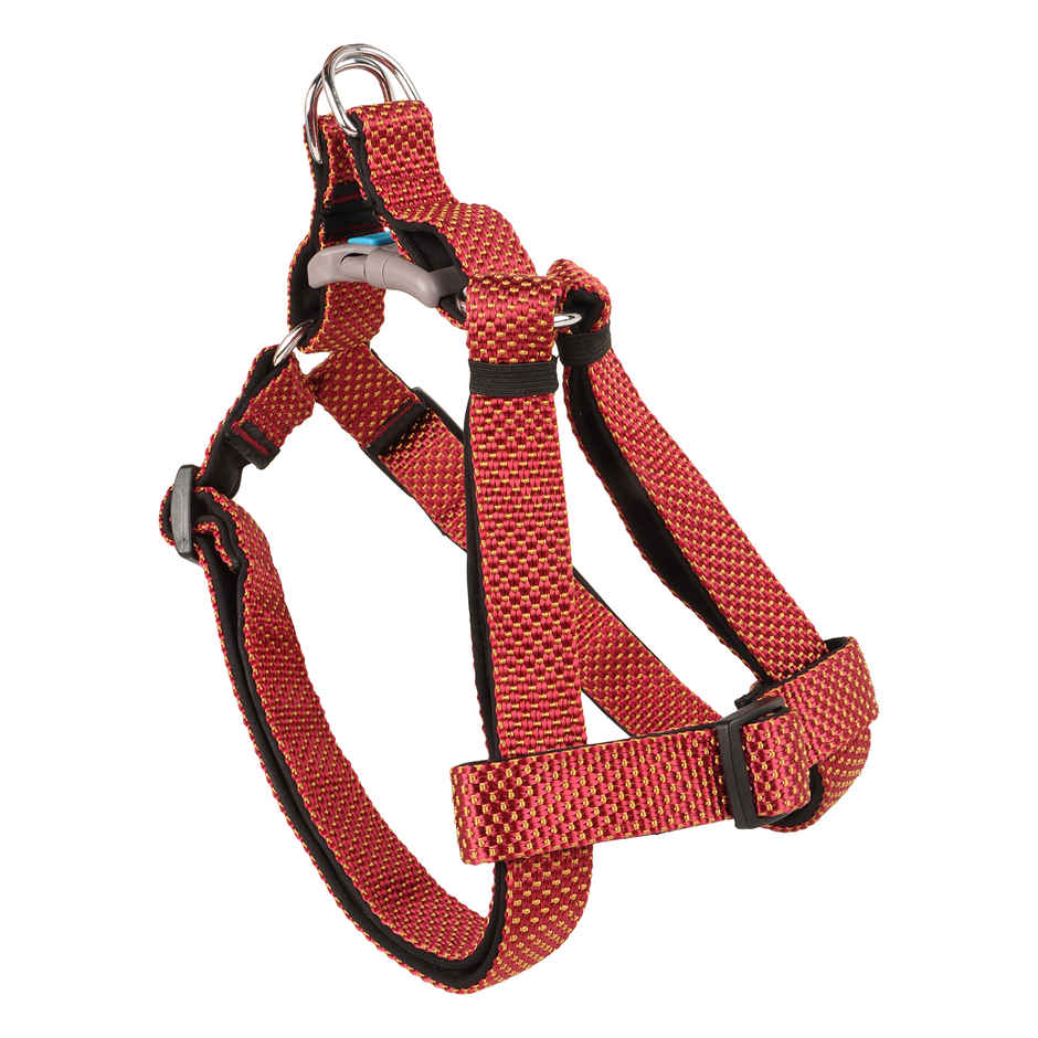 BearHugs Essential Step In Dog Harness Padded with Lock | Large - 25 mm