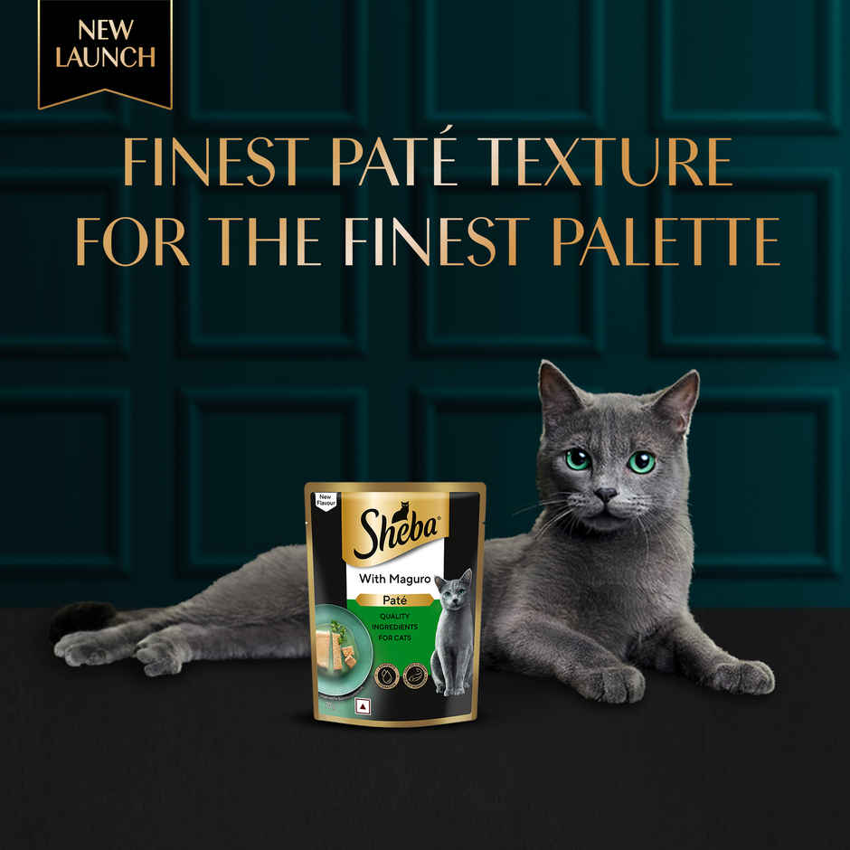 Sheba Pate Adult Wet Cat Food | Maguro
