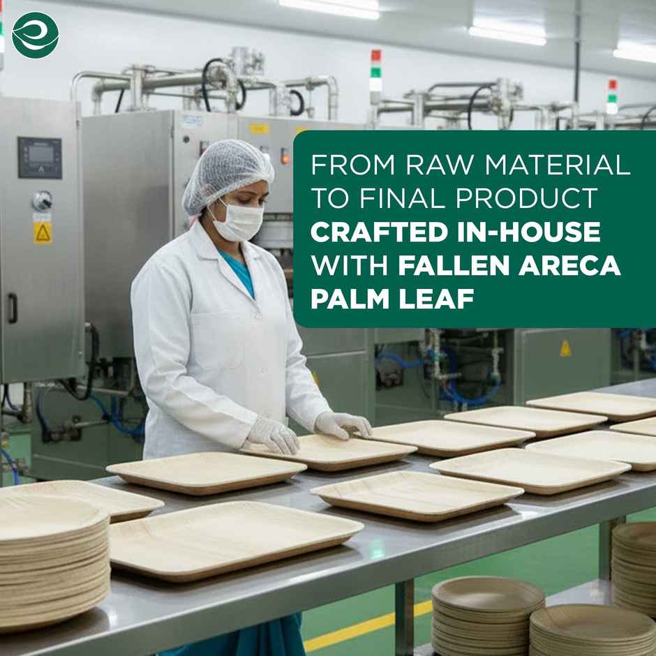 ECO SOUL | Palm Leaf Disposable Plates | 6 Inch | Square | 10 Count