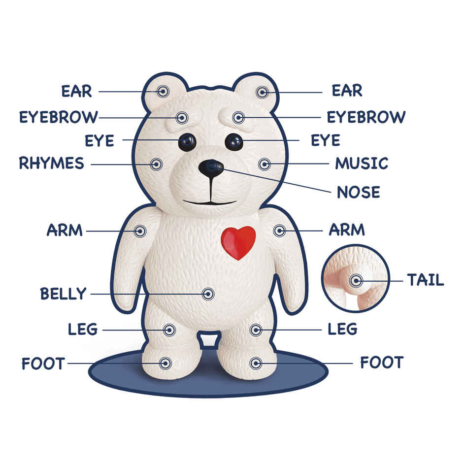 SEEDO Touch Control Educational Battery Powered, Plastic Learning Toy - Brainy Bear | White