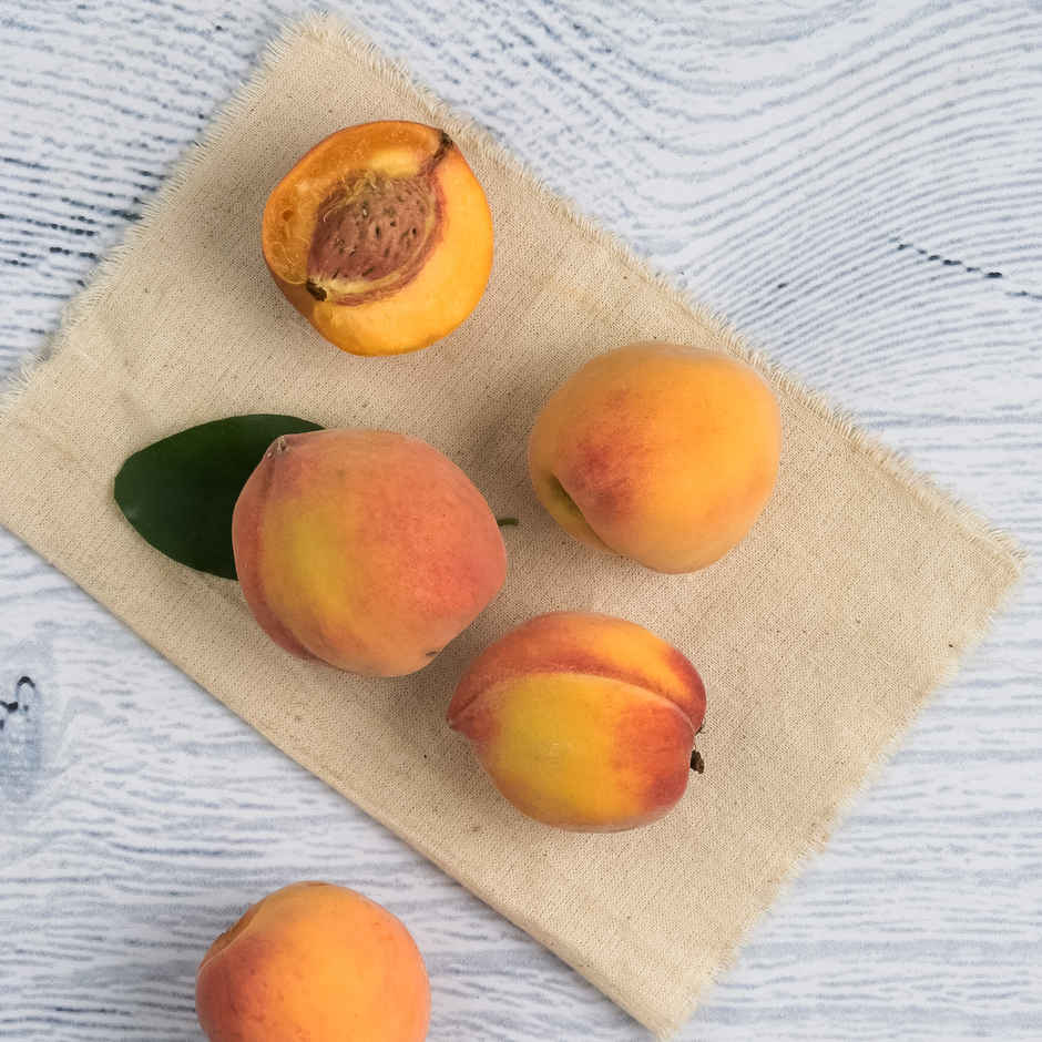 Peach Indian