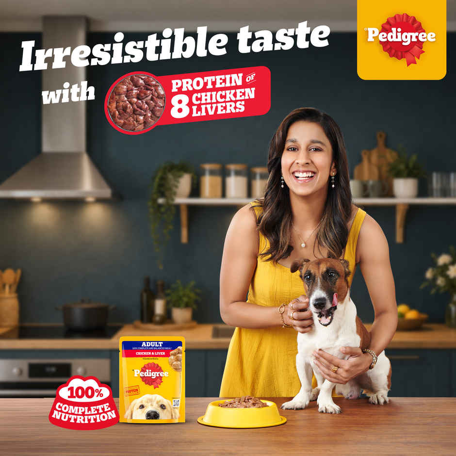 Pedigree Adult Chicken & Liver Chunks In Gravy Wet Dog Food