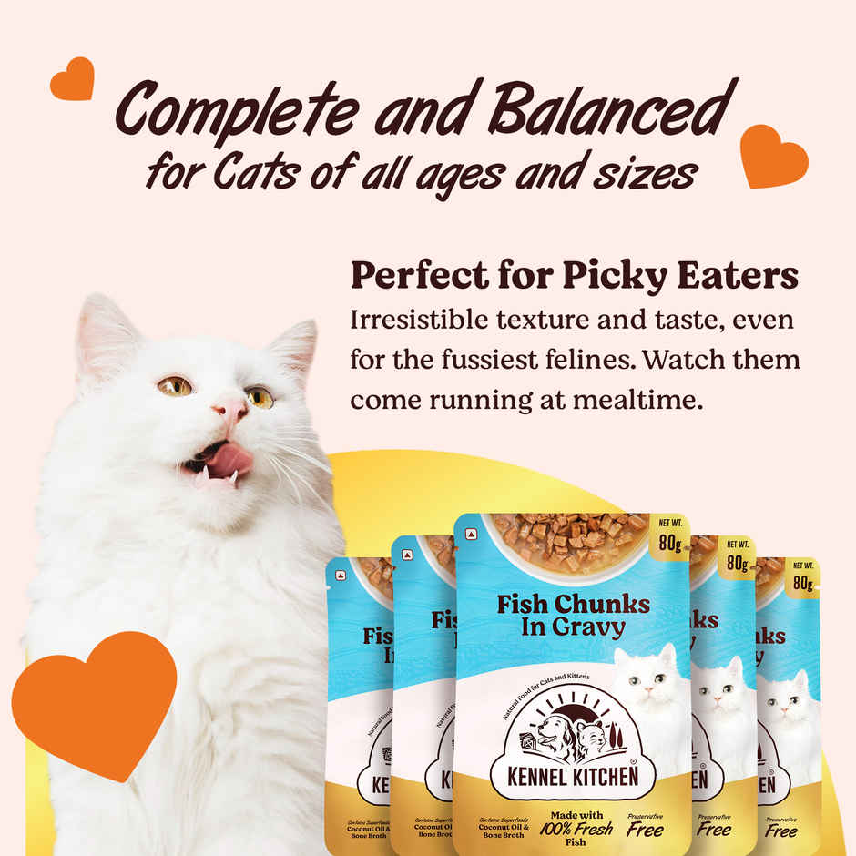 Kennel Kitchen Fish Chunks in Gravy Pack