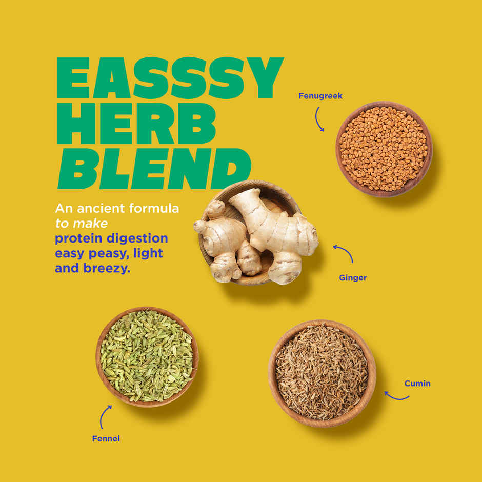 Yoga Bar Coffee Plant Protein, 25g Protein Per Serve, Soy and Lactose Free, Pea & Rice Protein