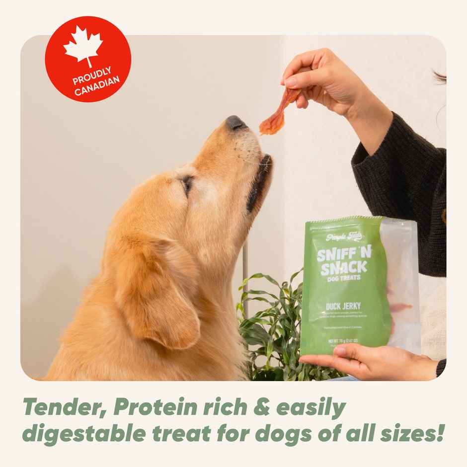 Purple Tails Duck Jerky Dog Treat