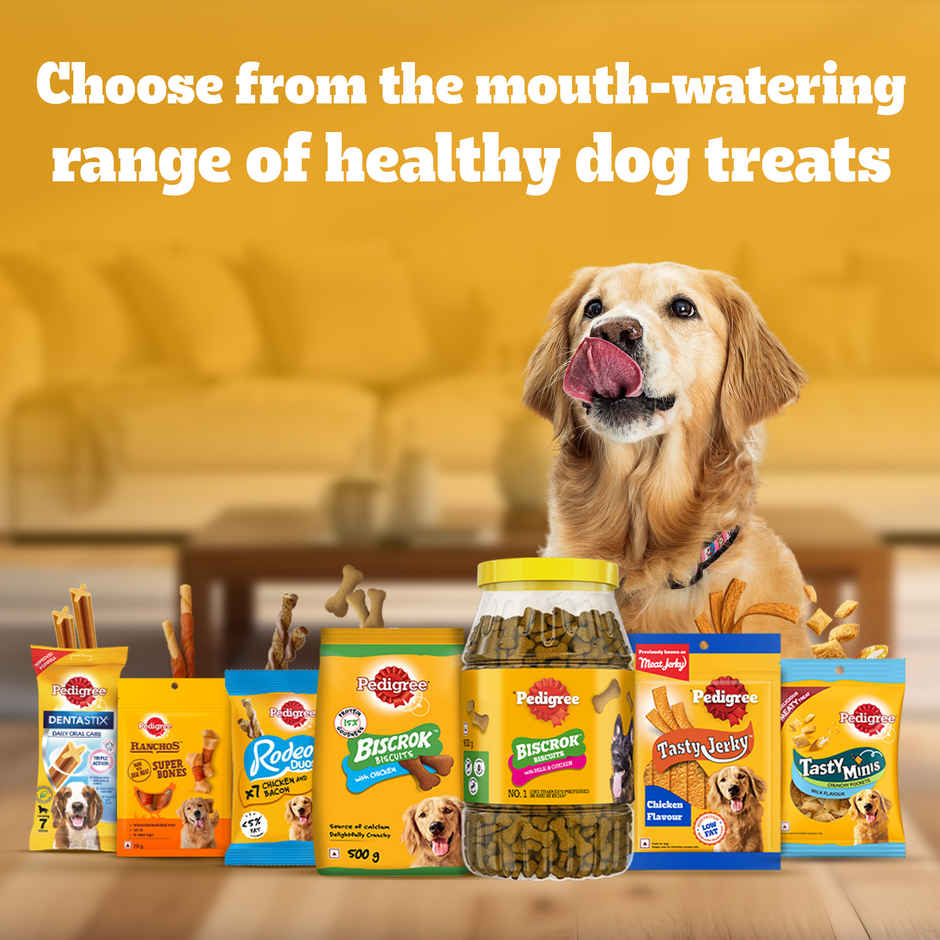 Pedigree Biscrok Dog Biscuits | Above 4 Months | Lamb Flavour | Jar