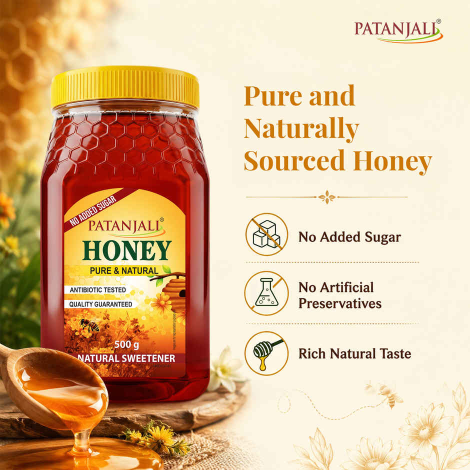 Patanjali Pure Natural Honey - No Added Sugar