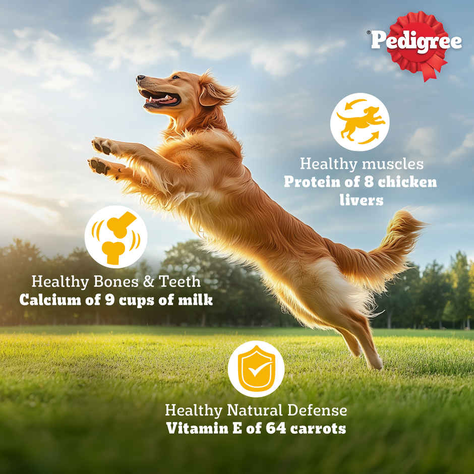 Pedigree Adult Chicken, Egg & Rice Dry Dog Food