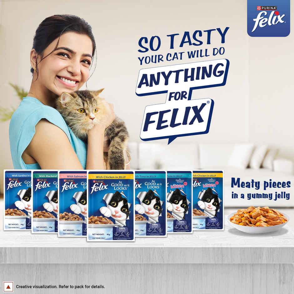 Felix Chicken Jelly Wet Cat Food Adult | Complete & Balanced