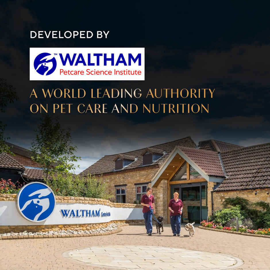 Sheba Pate Adult Wet Cat Food | Maguro