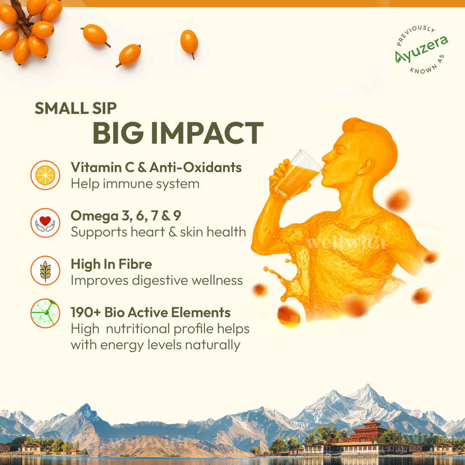 Wellwith Sea Buckthorn Pulp
