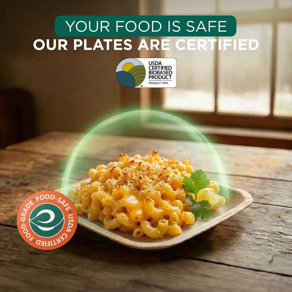 ECO SOUL | Palm Leaf Disposable Plates | 10 Inch | Square | 10 Count