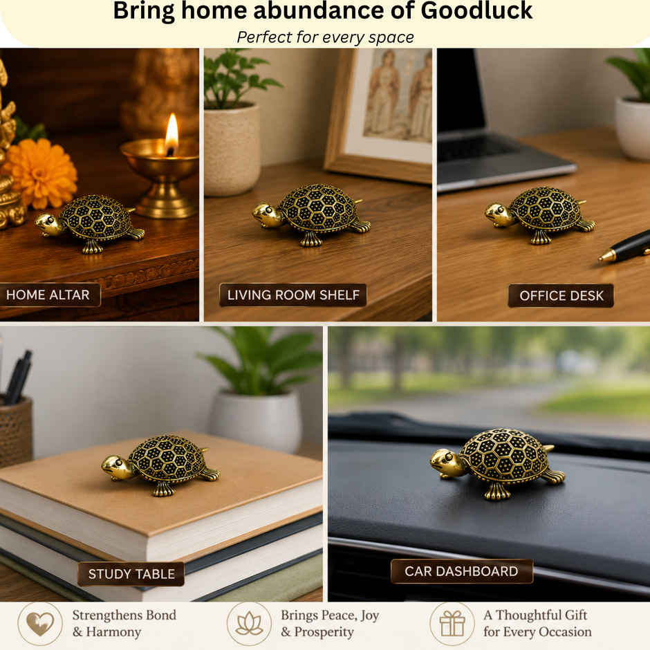 Pure Brass Tortoise | Estoria Collective