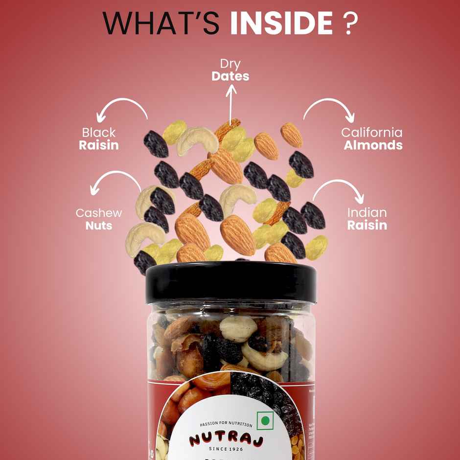 Nutraj Mix dry fruits Panchmeva superfood mix