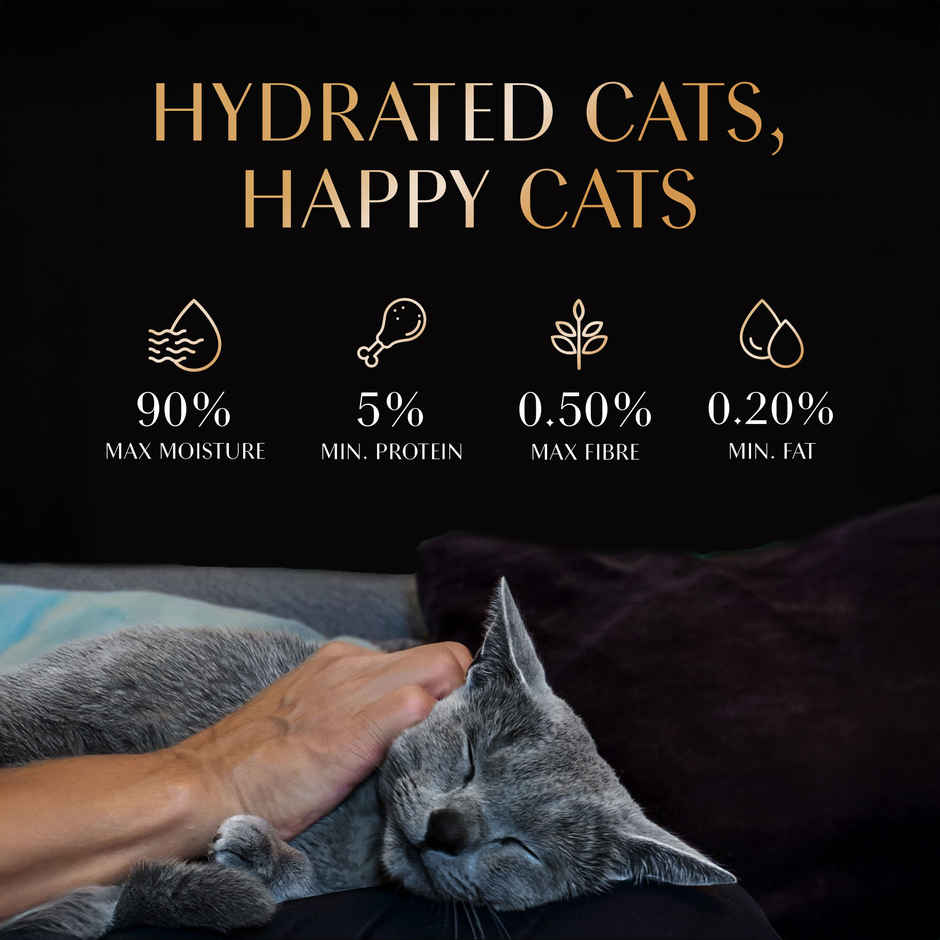  Sheba Melty Premium Cat Treats | Sasami Selection | Chicken & Chicken-Whitefish Flavors