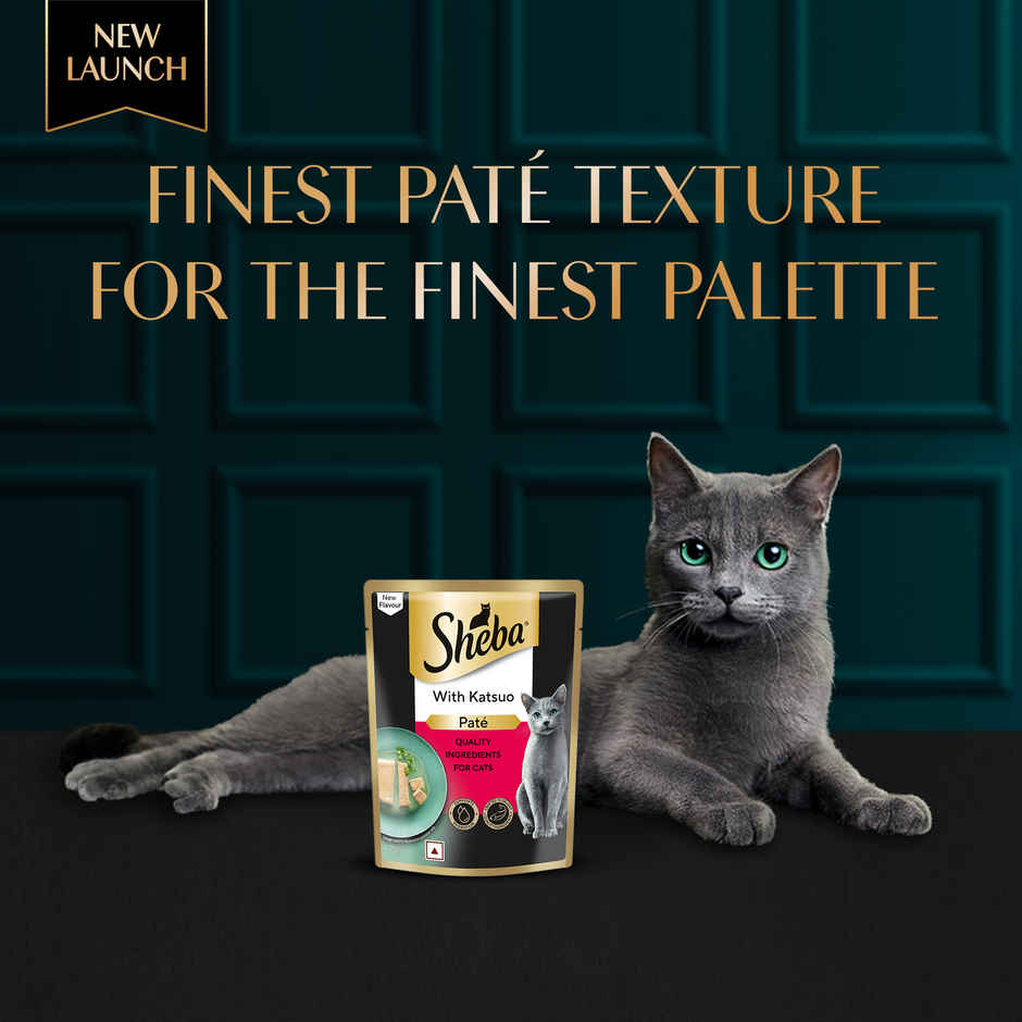 Sheba Pate Adult Wet Cat Food | Katsuo