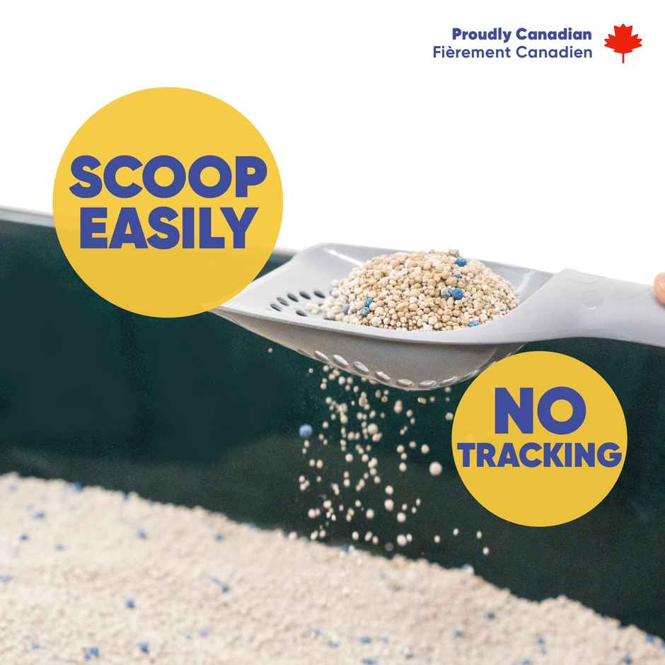 Purple Tails Canada Activated Carbon Cat Litter (Unscented)