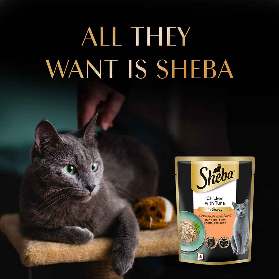 Sheba Fine Adult Chicken with Tuna in Gravy Wet Cat Food Combo