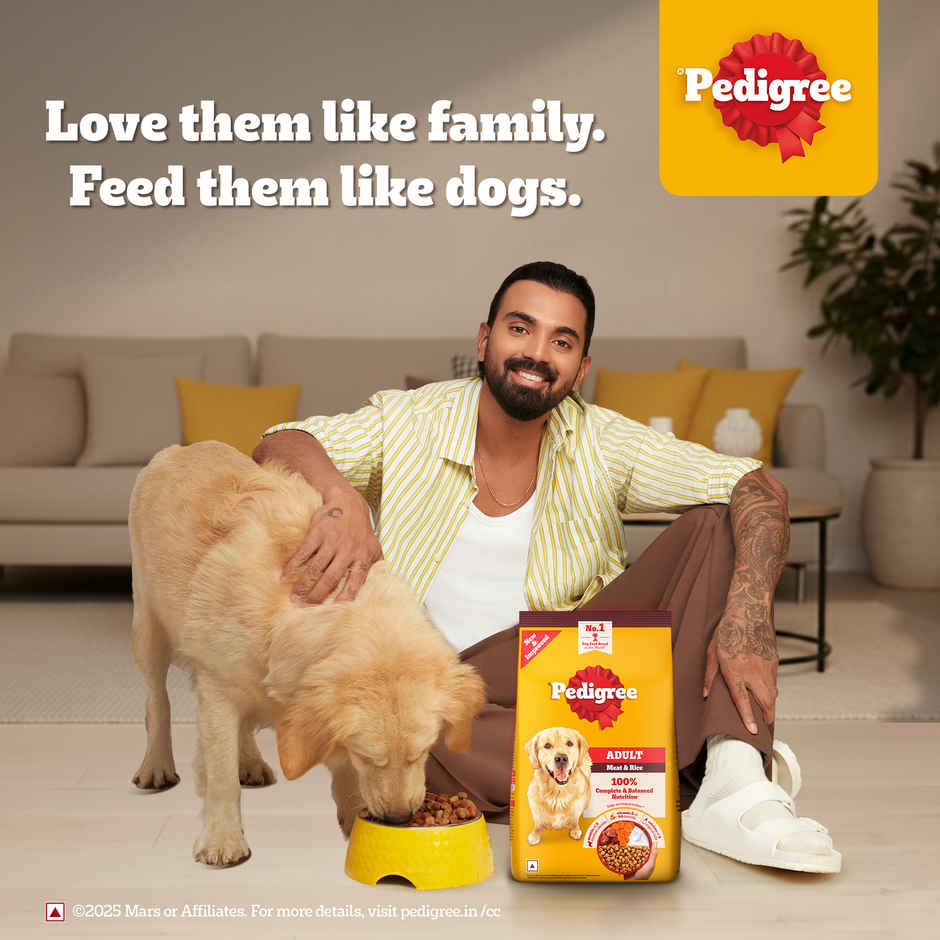 Pedigree Adult Meat & Rice Dry Dog Food