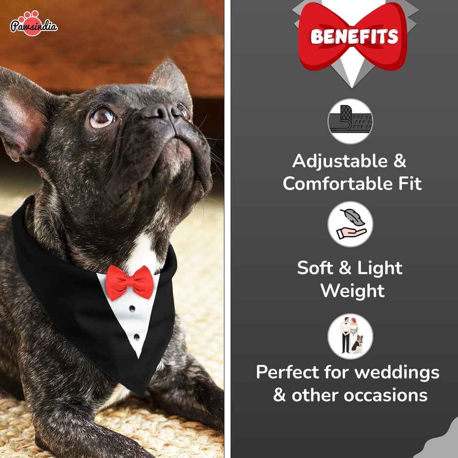 Pawsindia Black and White Tuxedo Bandana with Red Bow For Dogs - L