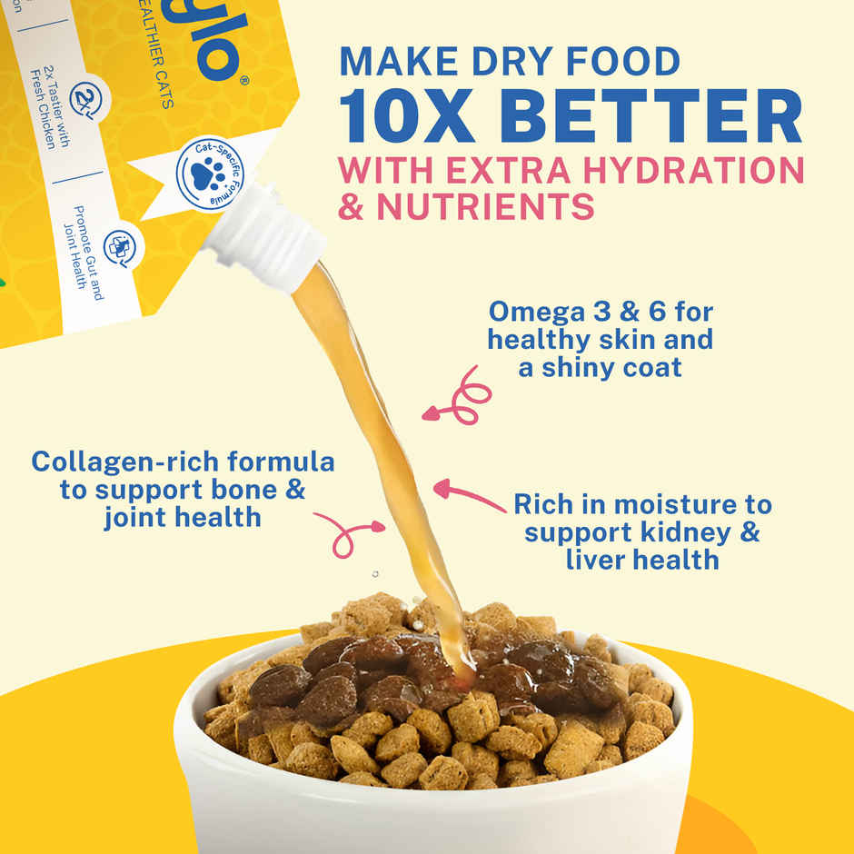 Smylo Homestyle Chicken Bone Broth for Cats Hydrating Topper for Shiny Coat Strong Joints All Ages