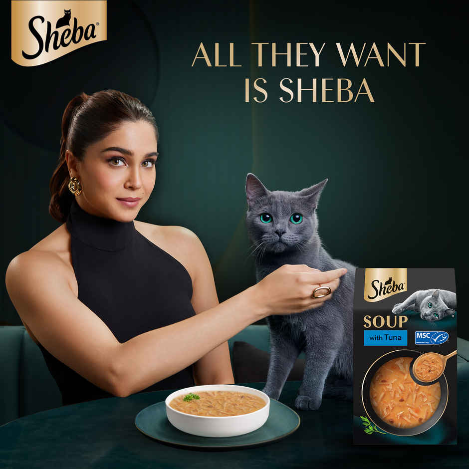 Sheba Soup With Tuna Premium Adult Wet Cat Food | Pouches Irresistible Flavor