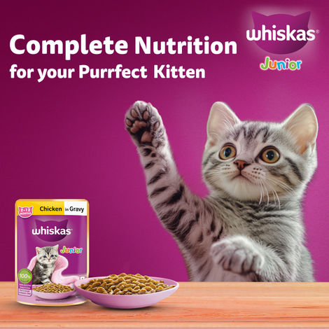 Whiskas Junior Chicken in Gravy Wet Cat Food